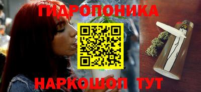 альфа пвп Новокубанск