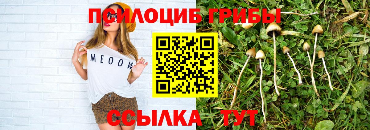 Псилоцибиновые грибы Psilocybine cubensis  Вход с VPN  цена   Спасск-Дальний  Галлюциногенные грибы мицелий 